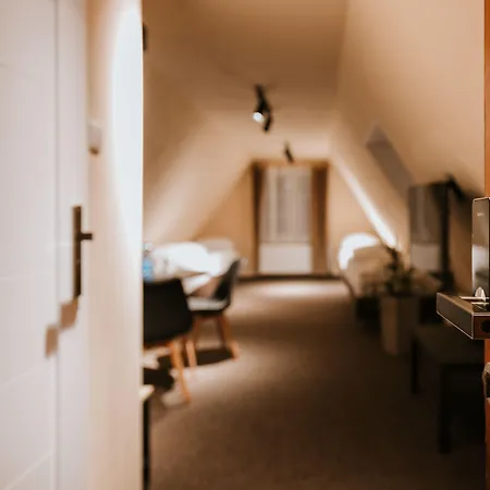 Kamieniczka Palladium Апартаменты *